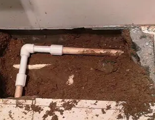 海口测漏水哪家好